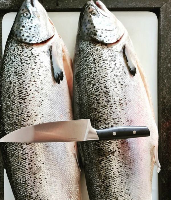 Your Trusted B2B Salmon & Seafood Importer