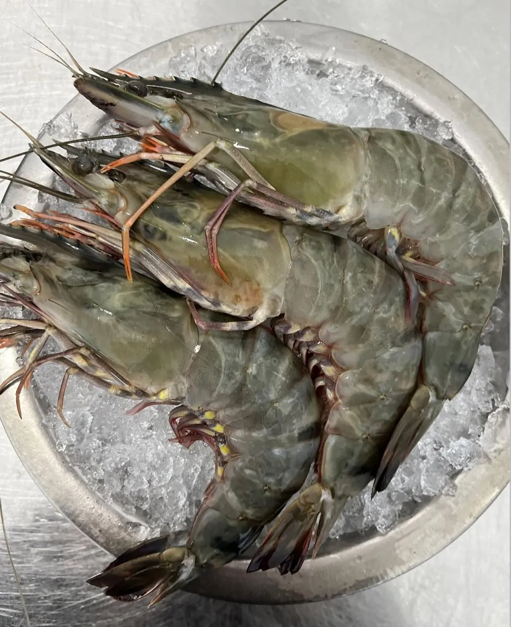 High-quality imported shrimp for Indonesian food service