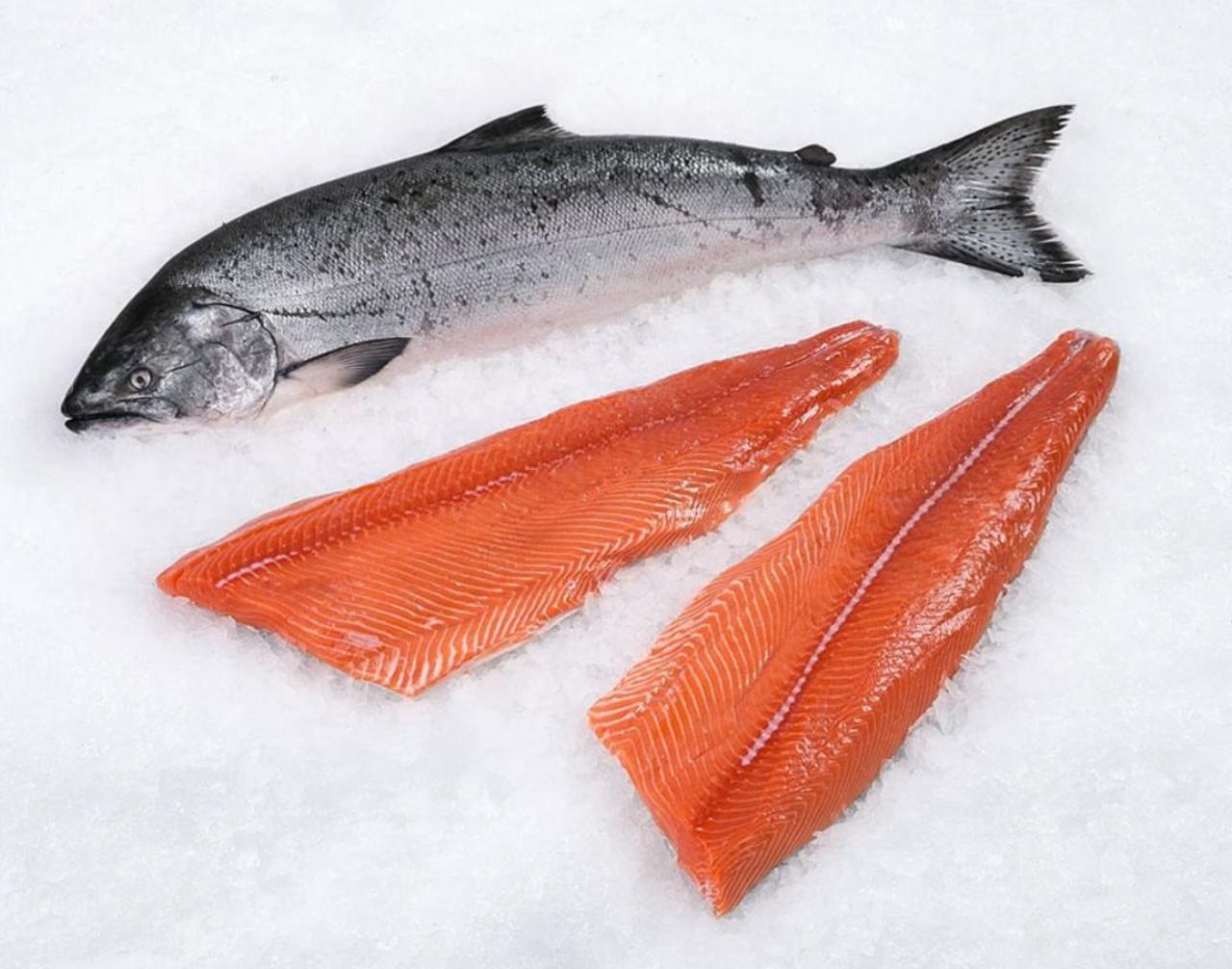 athan gemilang perkasa 10